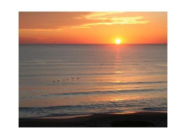 5050 Bayview Drive, Unit 6, Fort Lauderdale, FL 33308