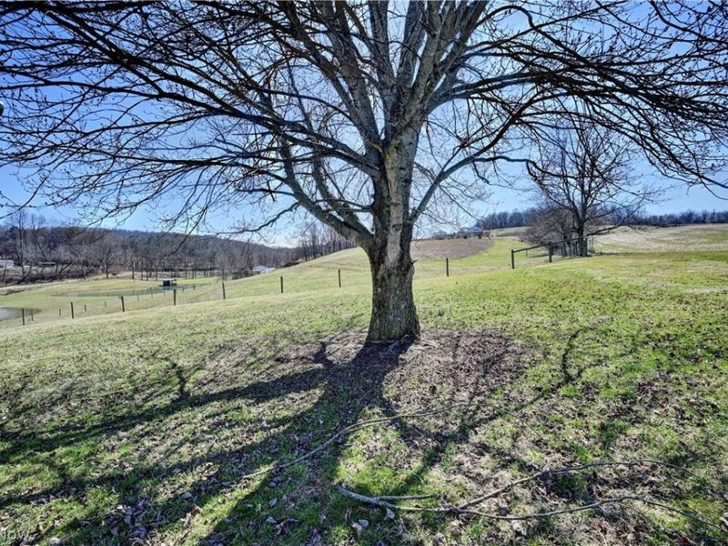 29100 Flat Run Road, Danville, OH 43014 Photo 11