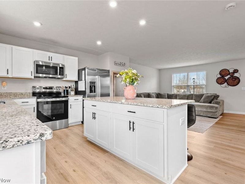 218 Leather Leaf Drive, Elyria, OH 44035 Photo 5