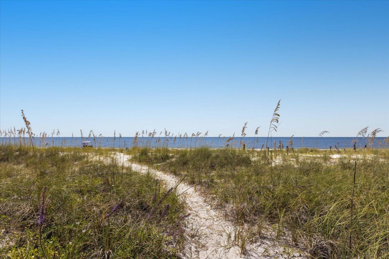 1125 Alligator Drive , Alligator Point, FL 32346 Photo