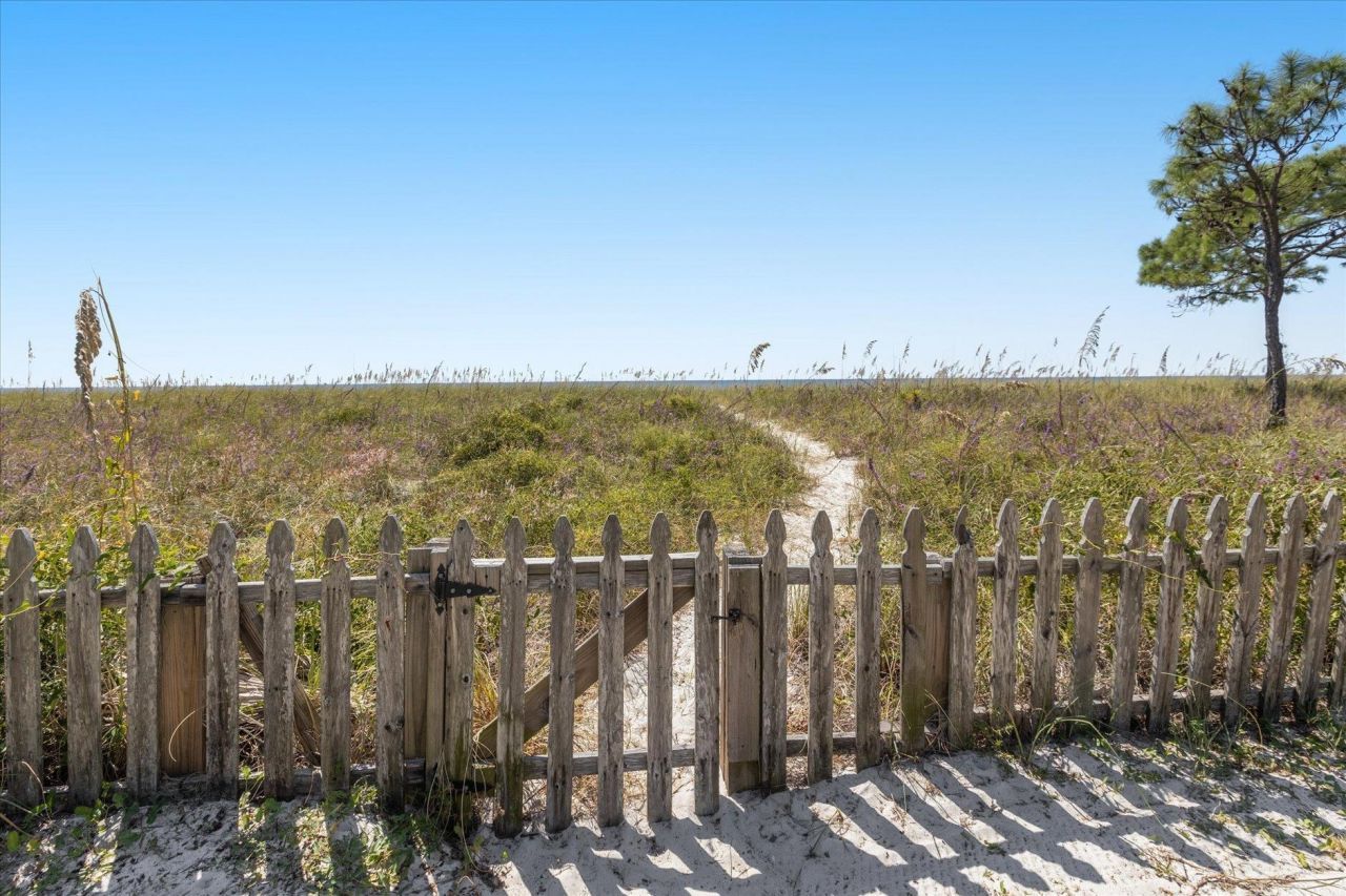 1125 Alligator Drive , Alligator Point, FL 32346 Photo