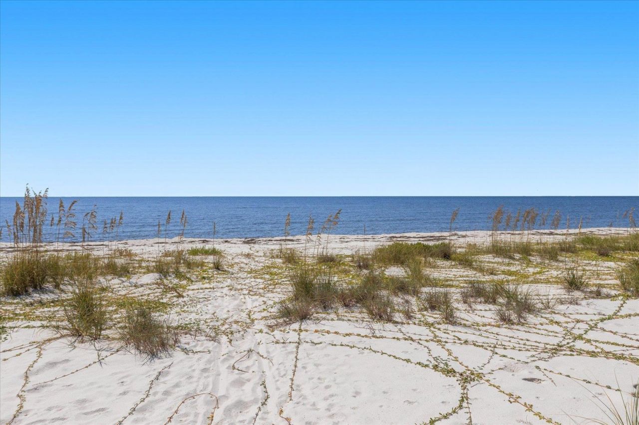 1125 Alligator Drive , Alligator Point, FL 32346 Photo