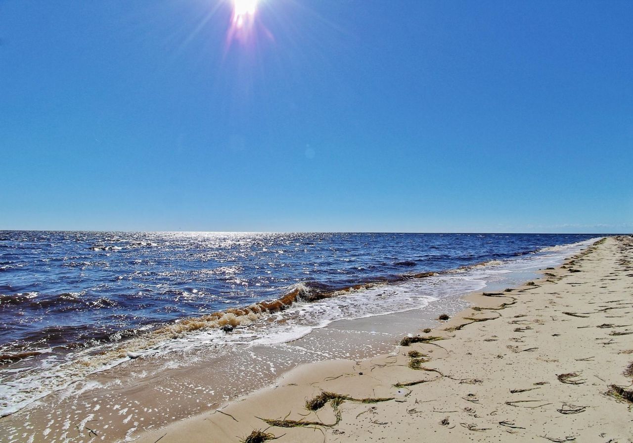 6 Kingfish Street , Alligator Point, FL 32346 Photo