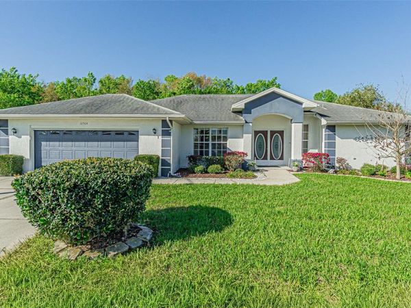 10504 MOSHIE LANE , SAN ANTONIO, FL 33576