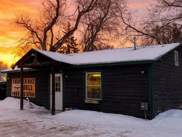 11450 M-33, Atlanta, MI 49709