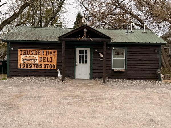 11450 M-33, Atlanta, MI 49709