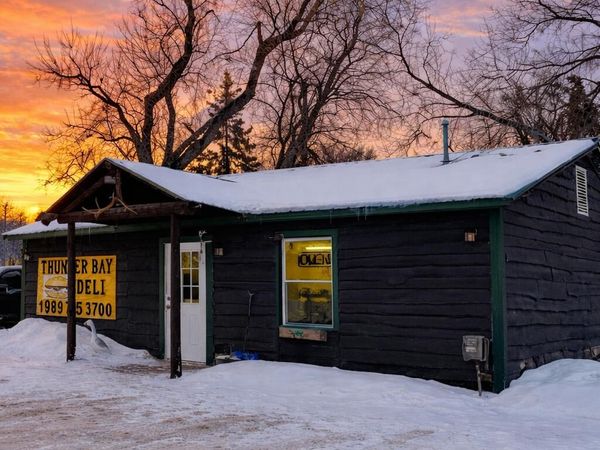 11450 M-33, Atlanta, MI 49709