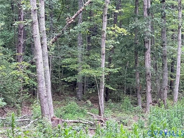 3850 Three Chopt Road, Gum Spring, VA 23065