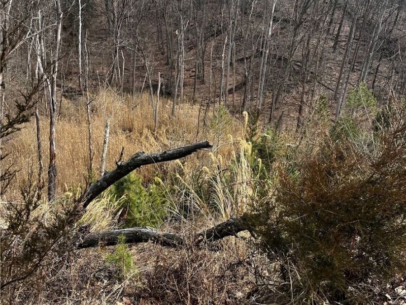 6589 Hathaway Road, Valley View, OH 44125 Photo 3