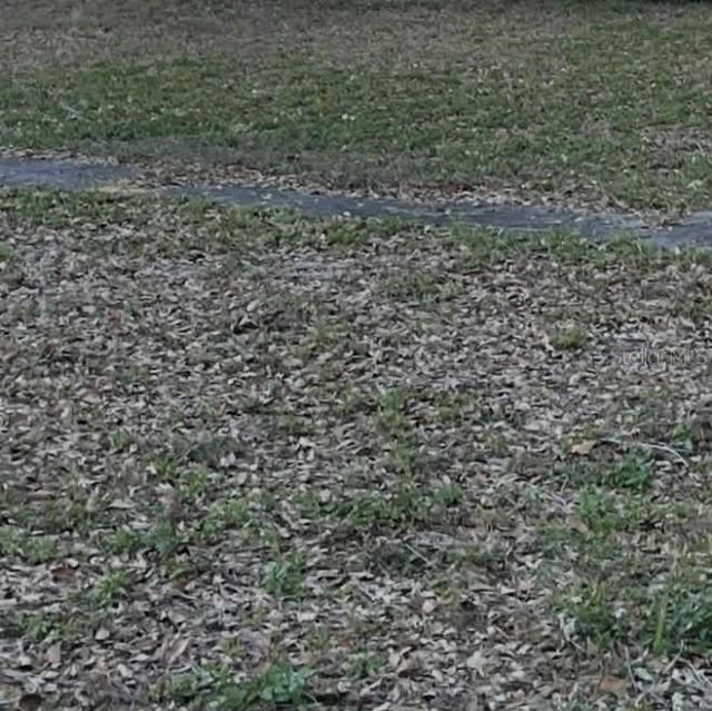 Gadsen Road, Winter Haven, FL 33884 Main Photo