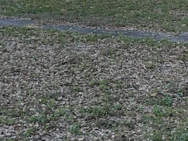 GADSEN ROAD, WINTER HAVEN, FL 33884