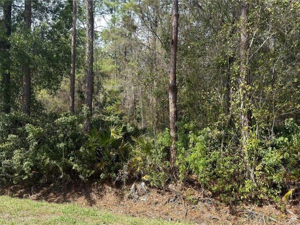 4801 E LA FLAM ROAD , AVON PARK, FL 33825