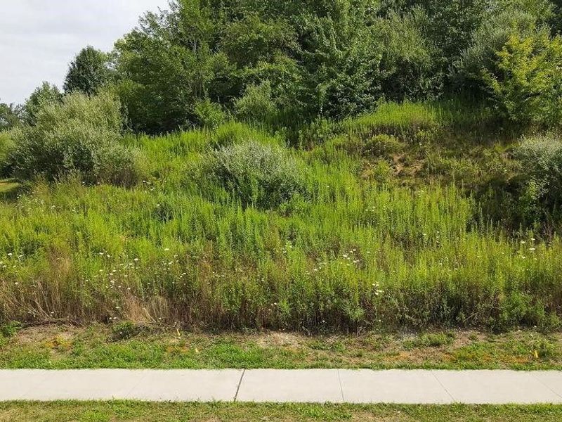 2771 Superior Drive, Green, OH 44685 Photo 3