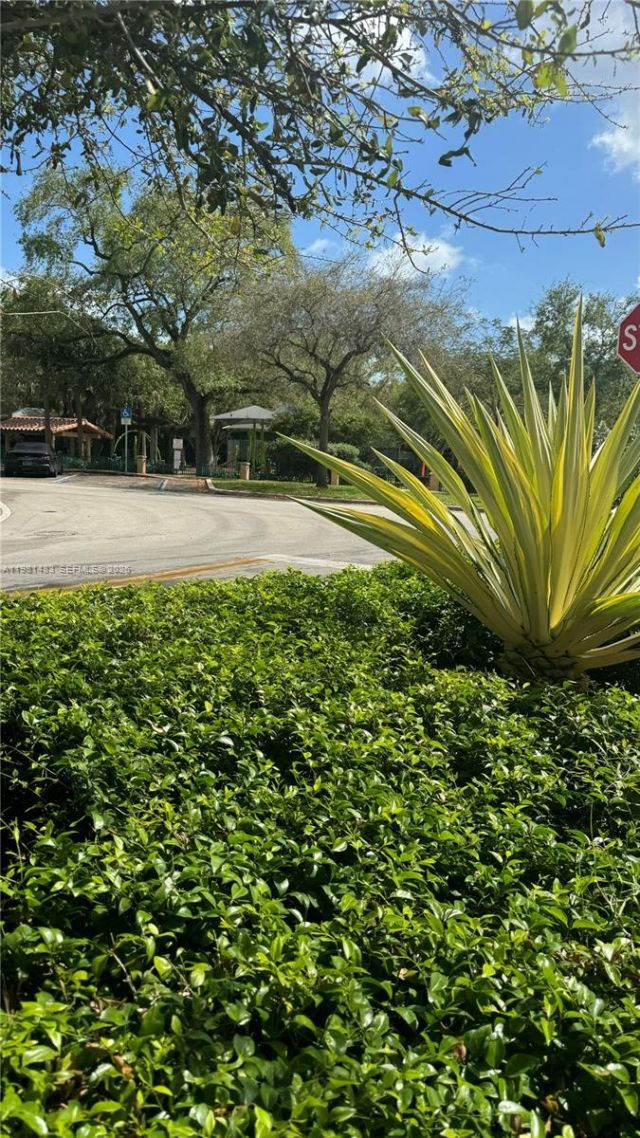 1205 Mariposa Ave, Unit 326, Coral Gables, FL 33146 Photo