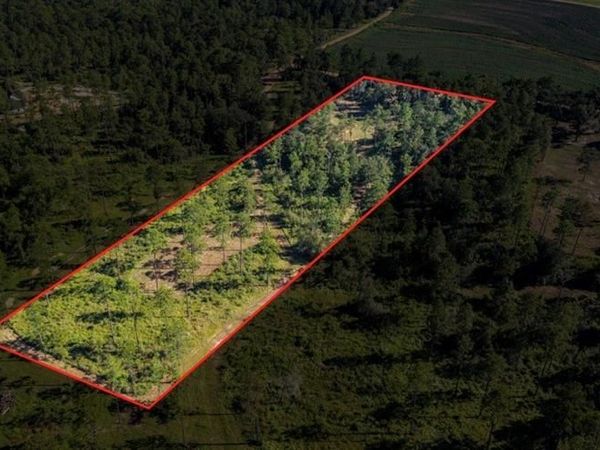 14185 Driskell Dairy Road, Mobile, AL 36695