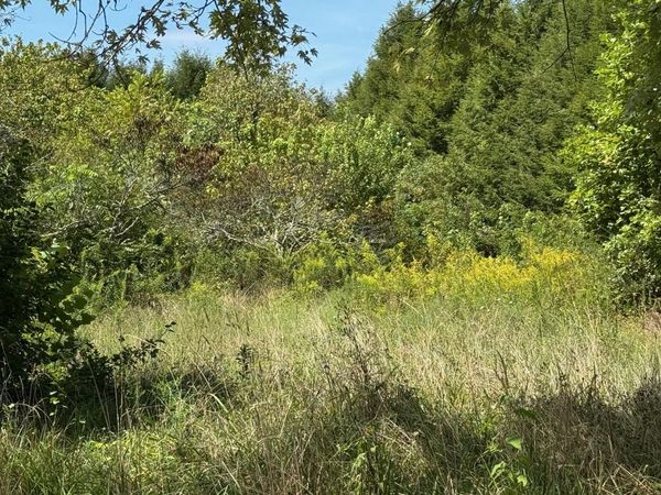 1235 Tatesville Road, Palmer, TN 37365