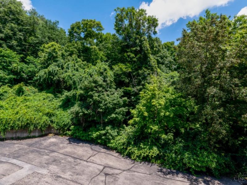 3768 Ashworth Drive, Cincinnati, OH 45208 Photo 25