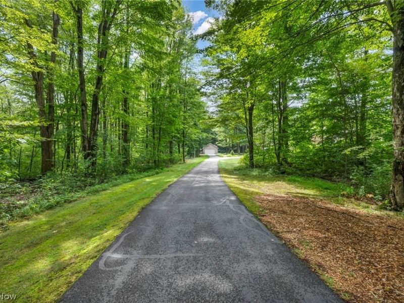 10360 Sawmill Drive, Chardon, OH 44024 Photo 4