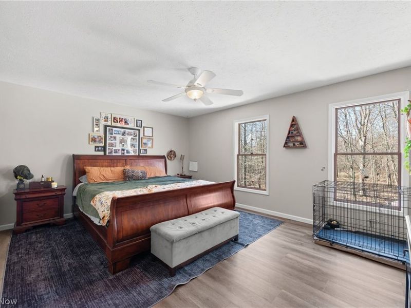 15120 State Route 83 Road, Grafton, OH 44044 Photo 25