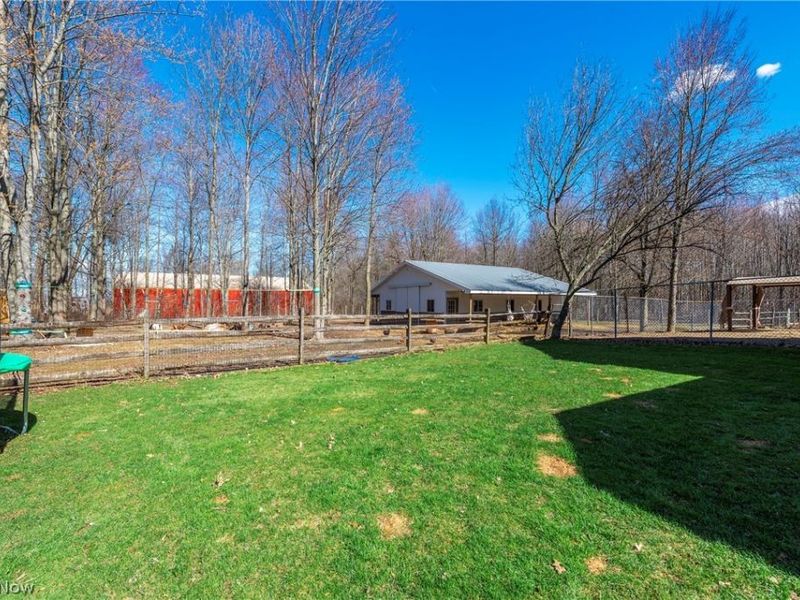 15120 State Route 83 Road, Grafton, OH 44044 Photo 45