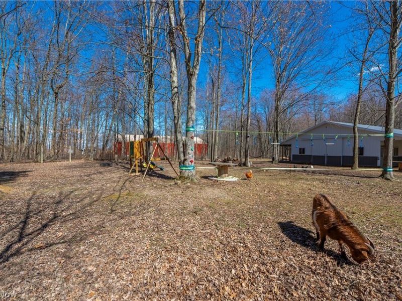 15120 State Route 83 Road, Grafton, OH 44044 Photo 46