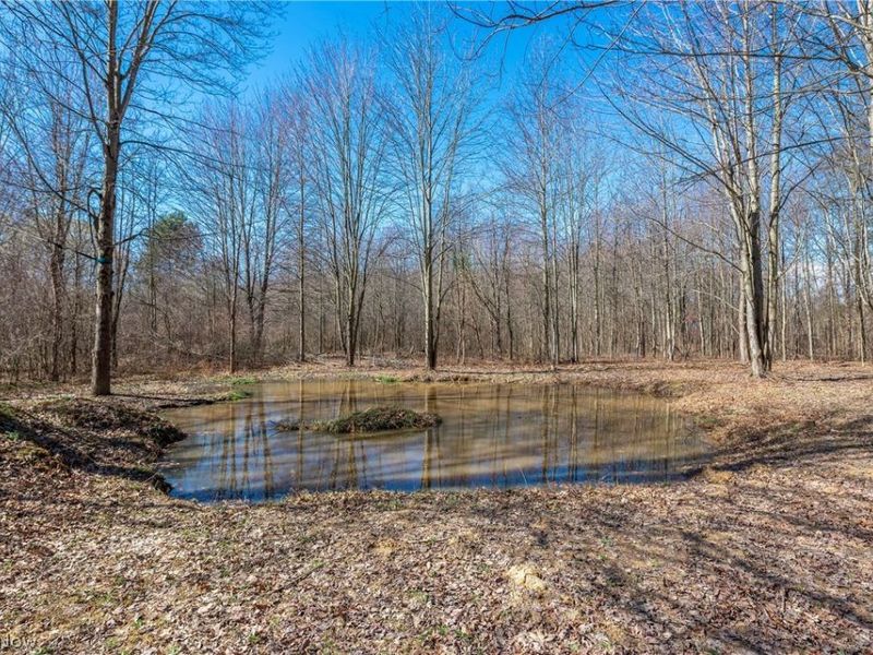 15120 State Route 83 Road, Grafton, OH 44044 Photo 46