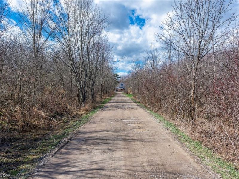 15120 State Route 83 Road, Grafton, OH 44044 Photo 50