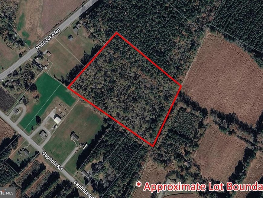 0 Nanticoke Road , Tyaskin, MD 21865 Main Photo