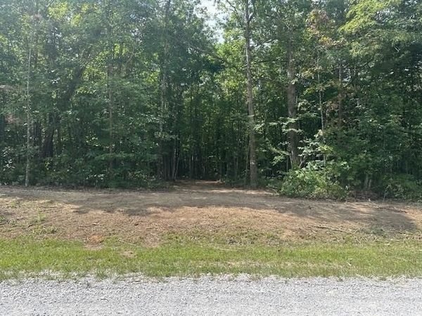 Lot 354 Hood Lane, Wilder, TN 38589
