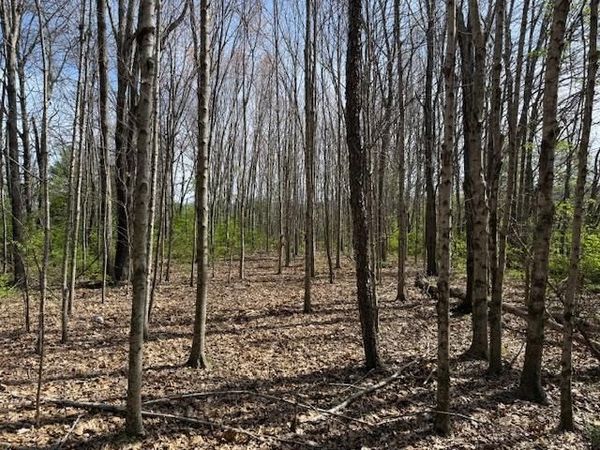 0 Shellsford Rd., Mcminnville, TN 37110