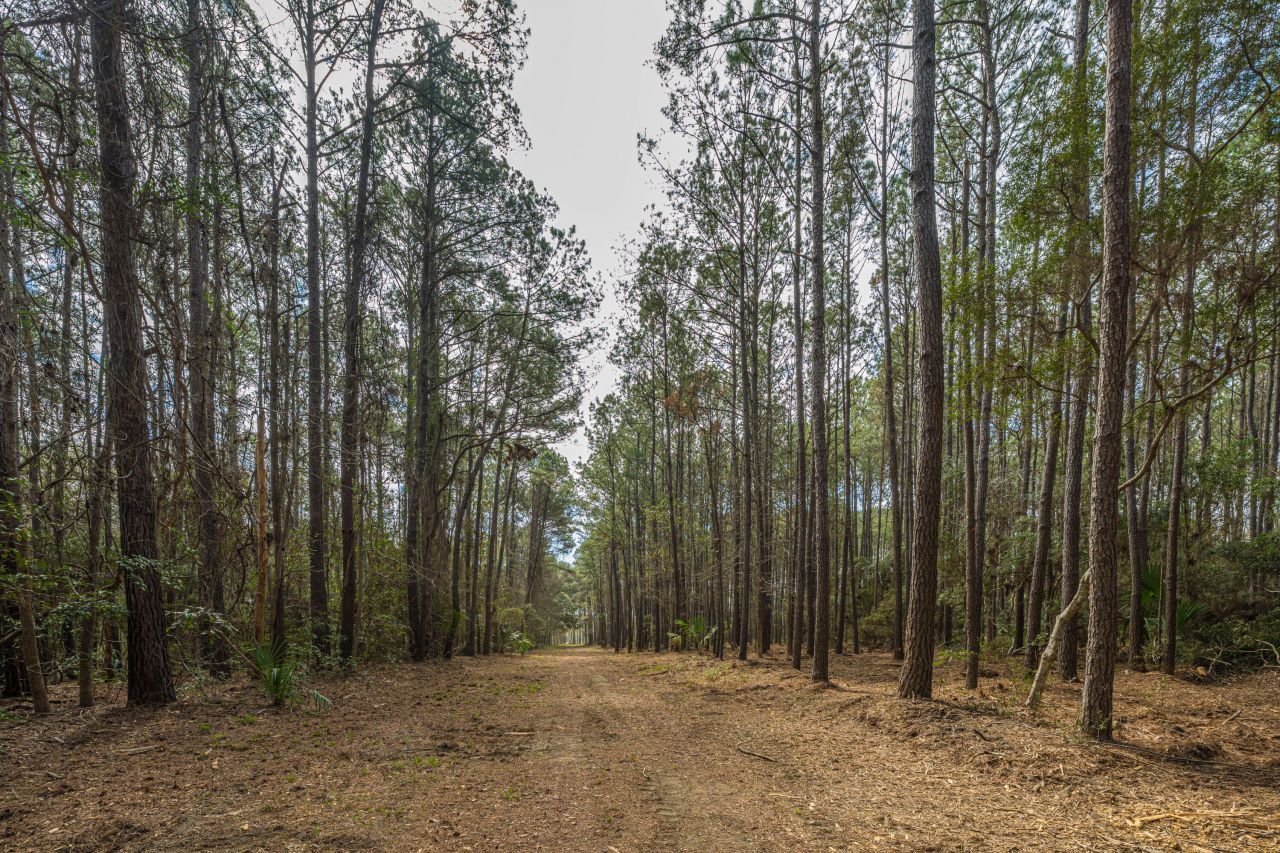 4297 Wild Turkey Way Photo 12