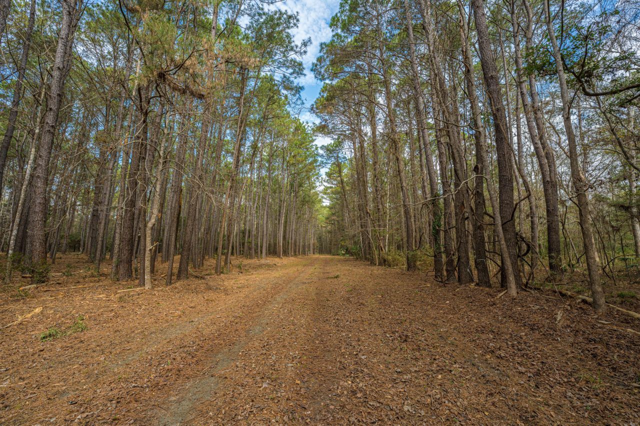 4297 Wild Turkey Way Photo 13