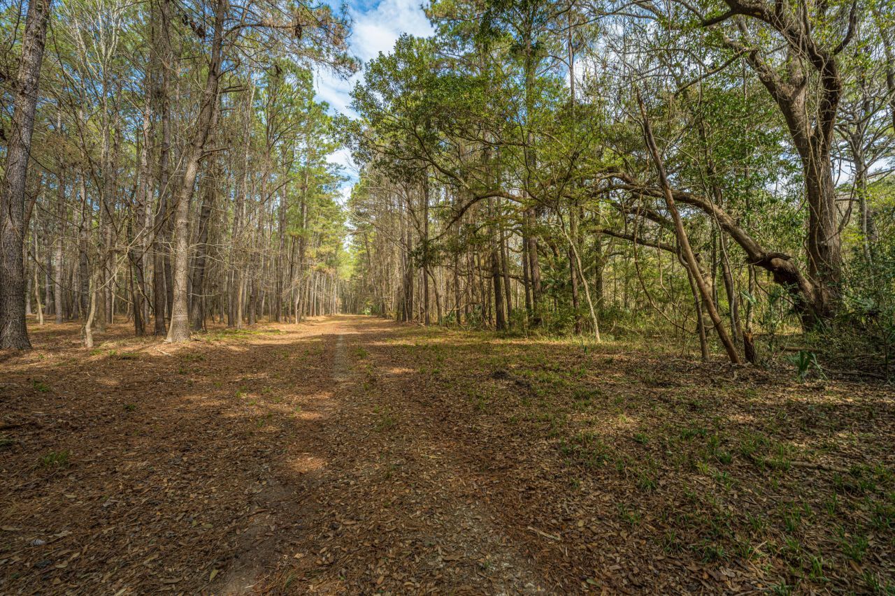 4297 Wild Turkey Way Photo 14