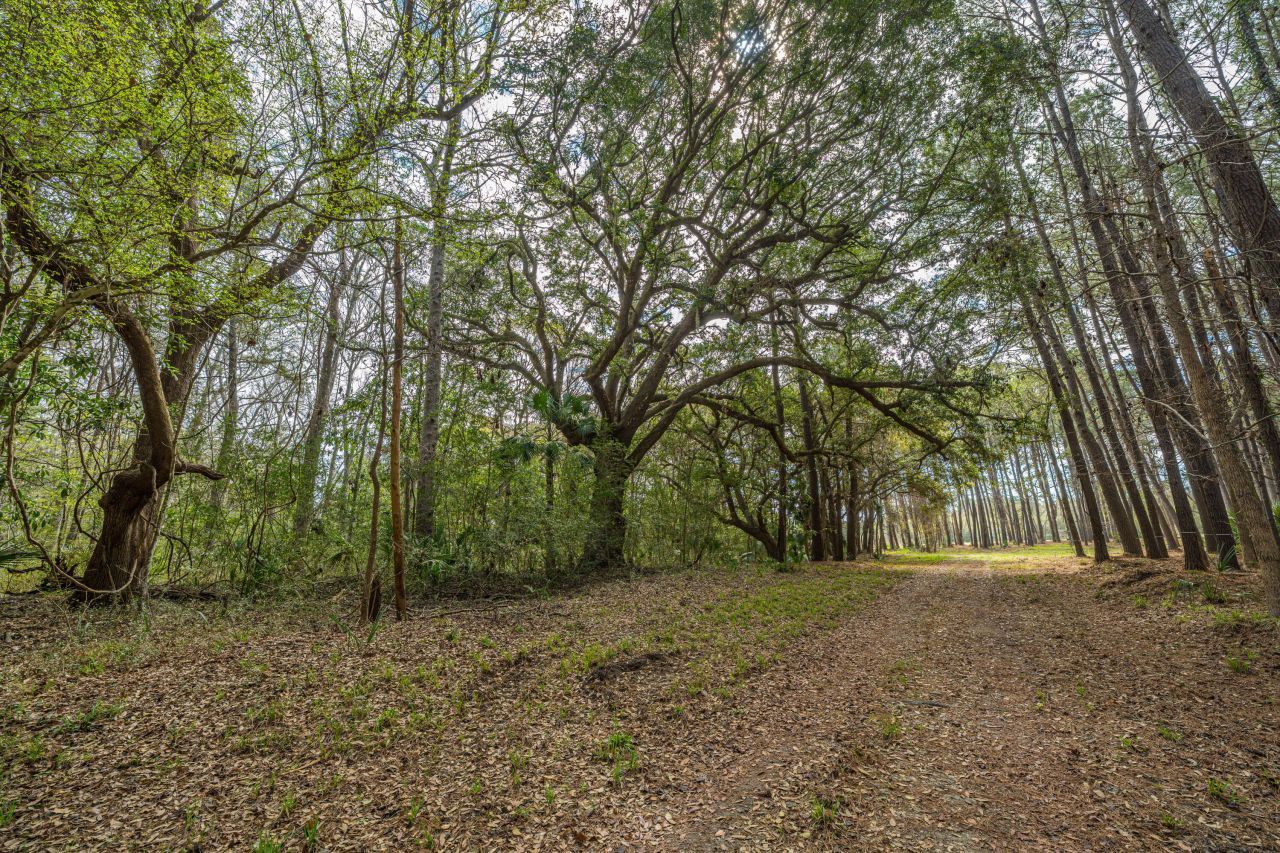 4297 Wild Turkey Way Photo 15