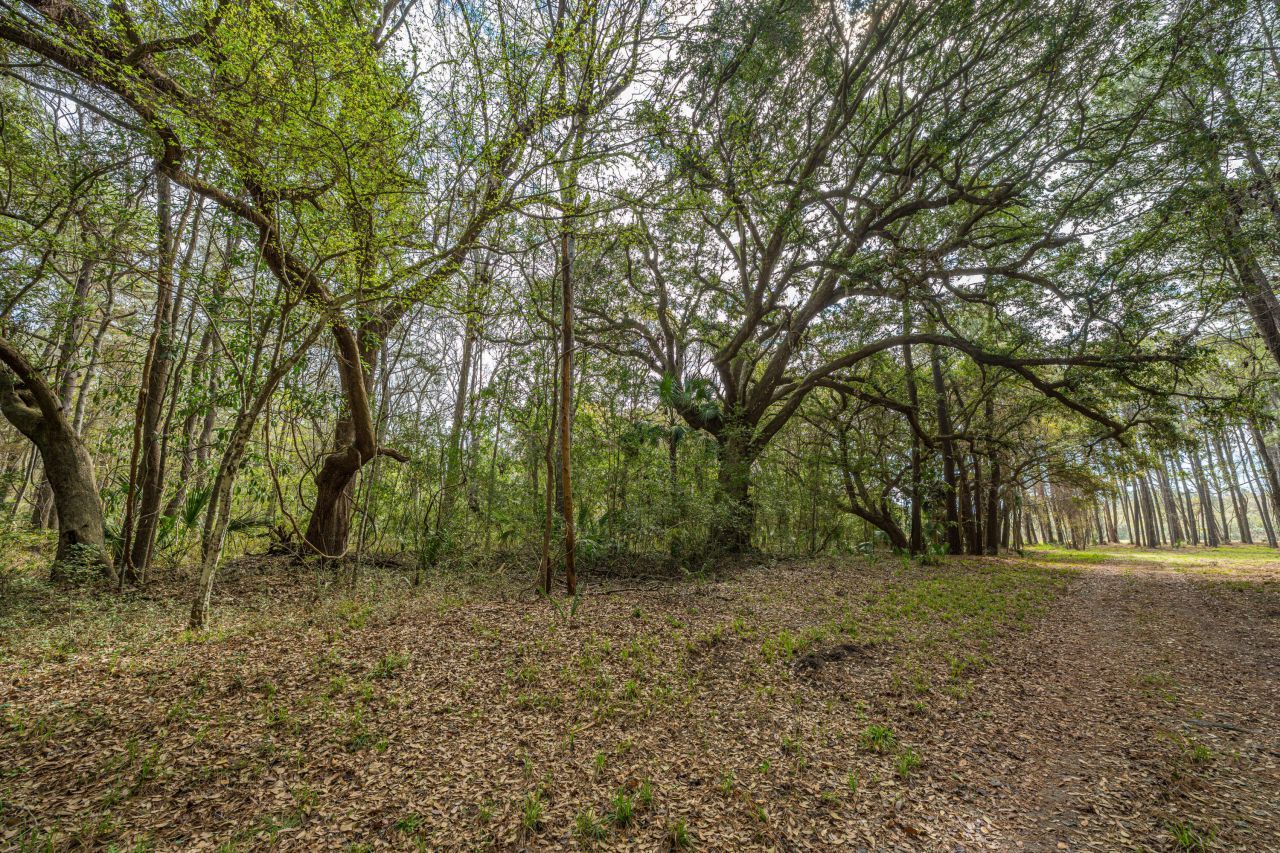 4297 Wild Turkey Way Photo 17