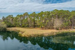 4297 Wild Turkey Way photo 4