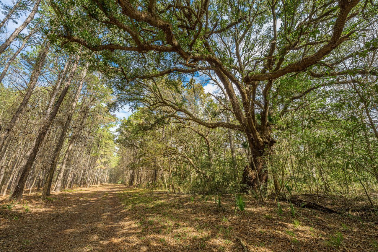 4297 Wild Turkey Way Photo 21