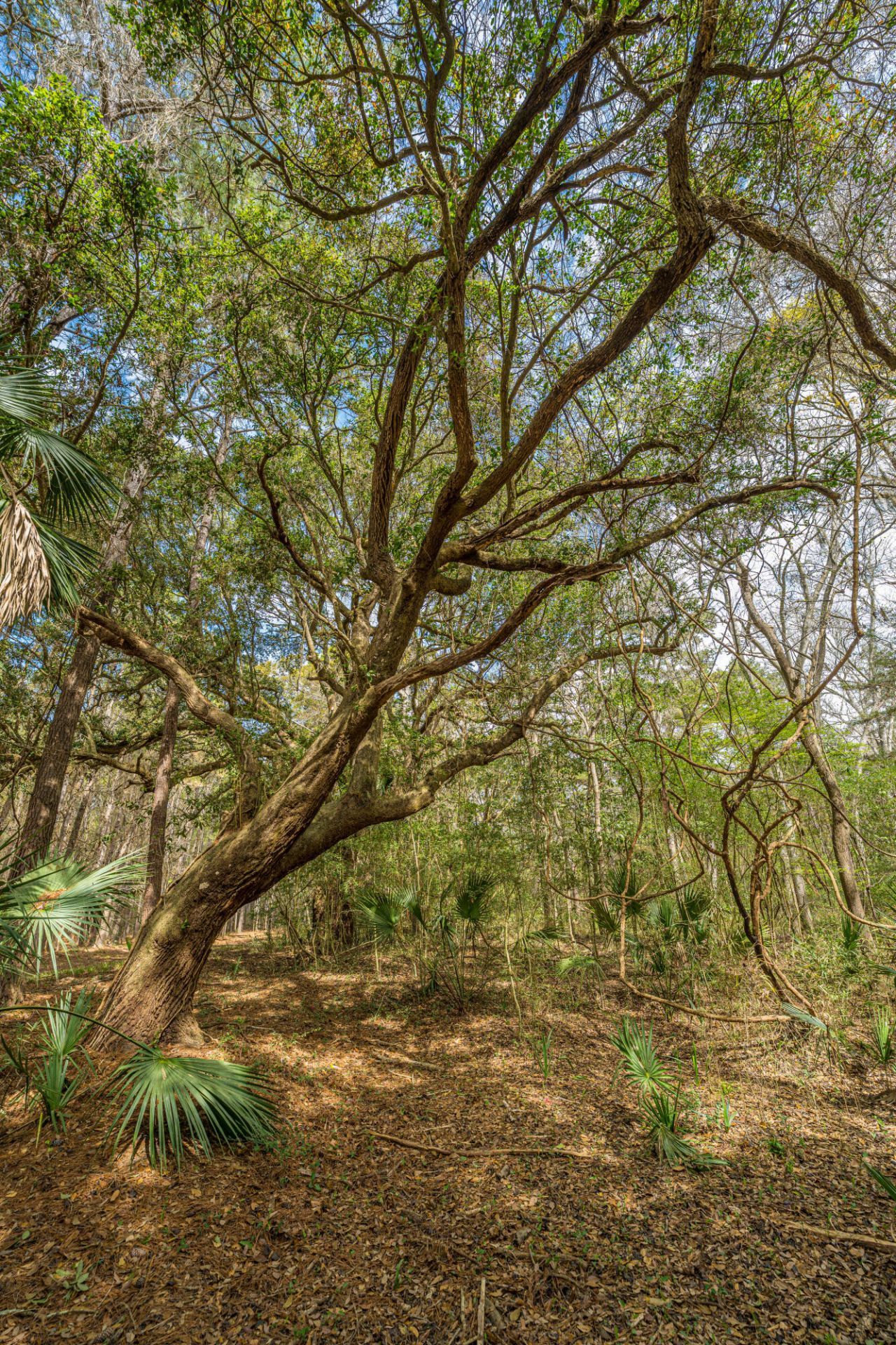 4297 Wild Turkey Way Photo 22