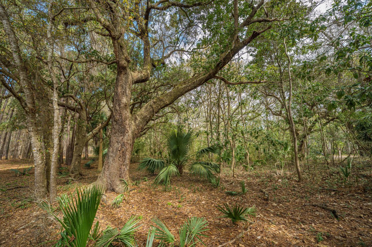 4297 Wild Turkey Way Photo 23