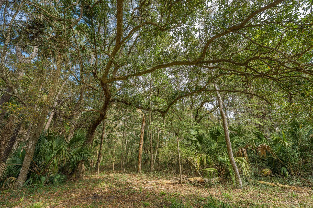 4297 Wild Turkey Way Photo 24