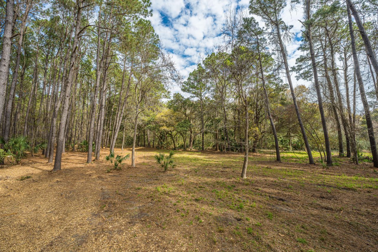 4297 Wild Turkey Way Photo 25