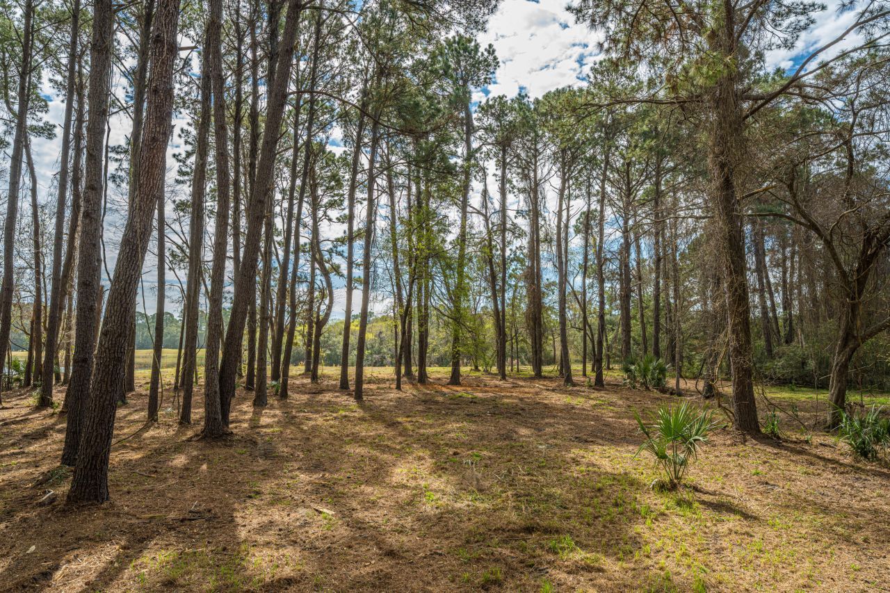 4297 Wild Turkey Way Photo 26