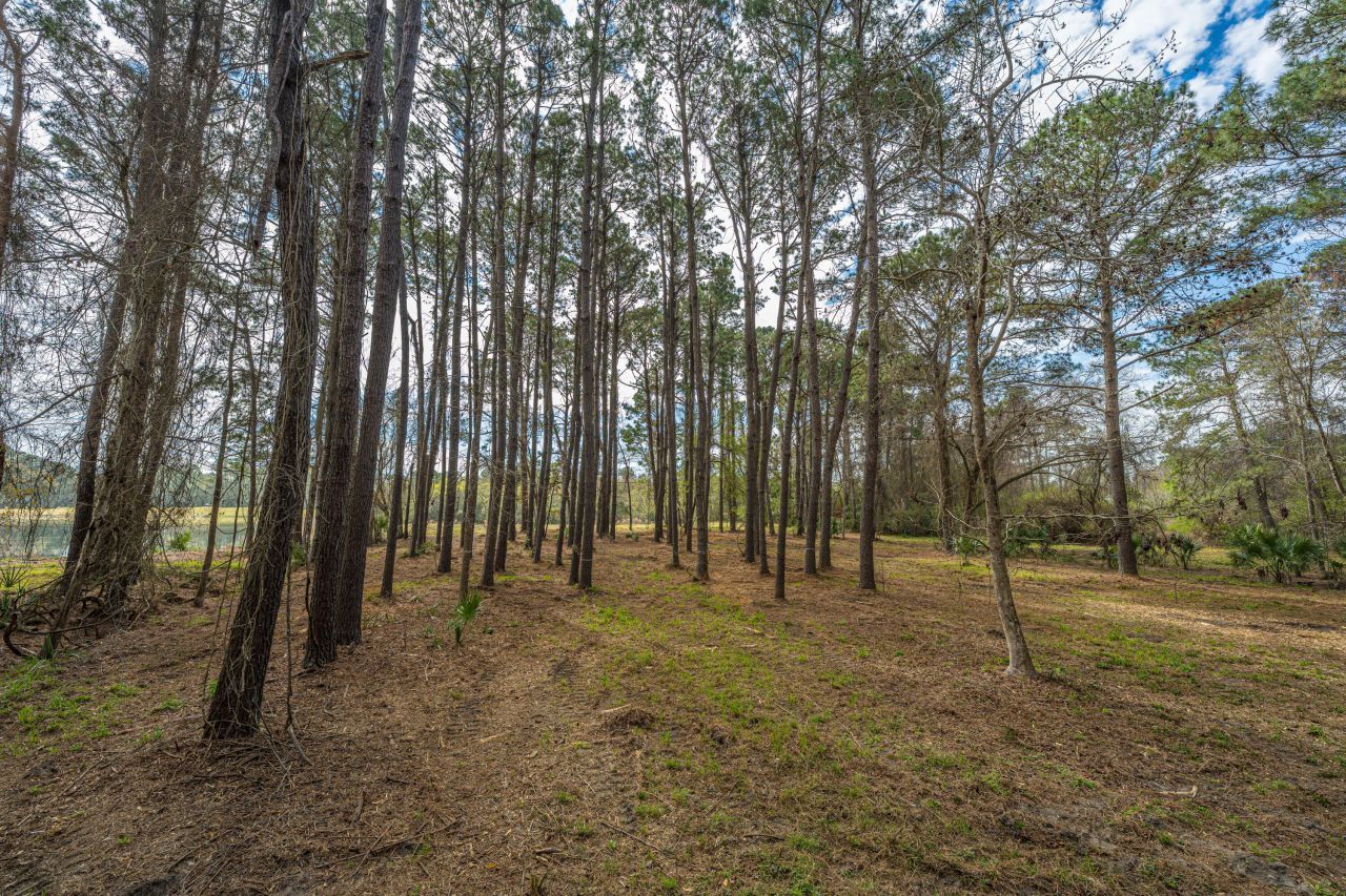 4297 Wild Turkey Way Photo 27