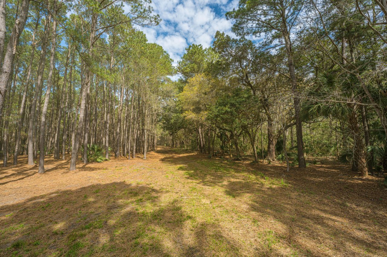 4297 Wild Turkey Way Photo 28