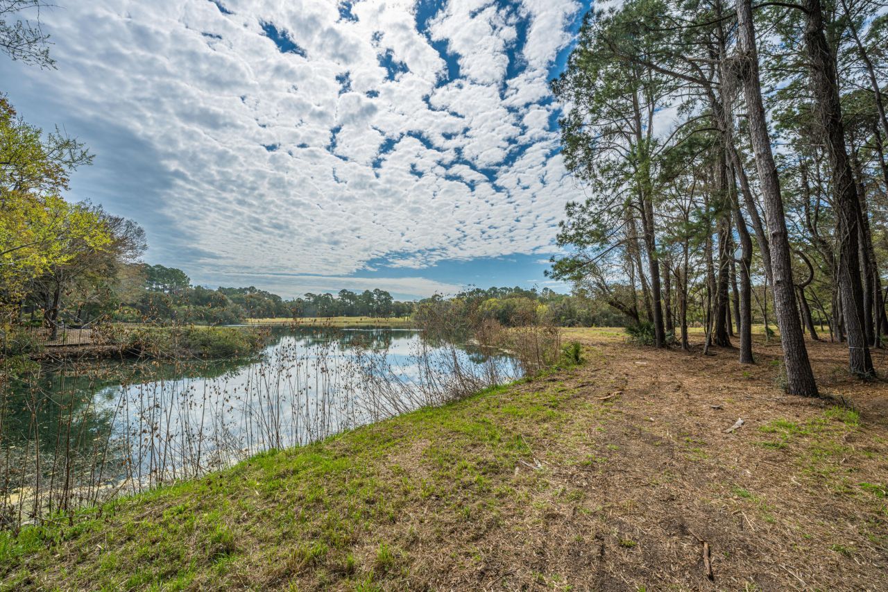 4297 Wild Turkey Way Photo 29