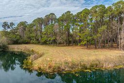 4297 Wild Turkey Way photo 4