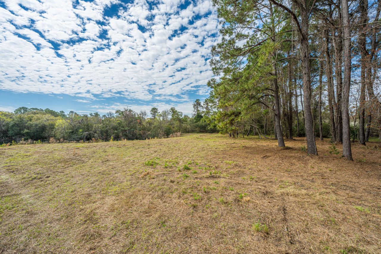 4297 Wild Turkey Way Photo 30