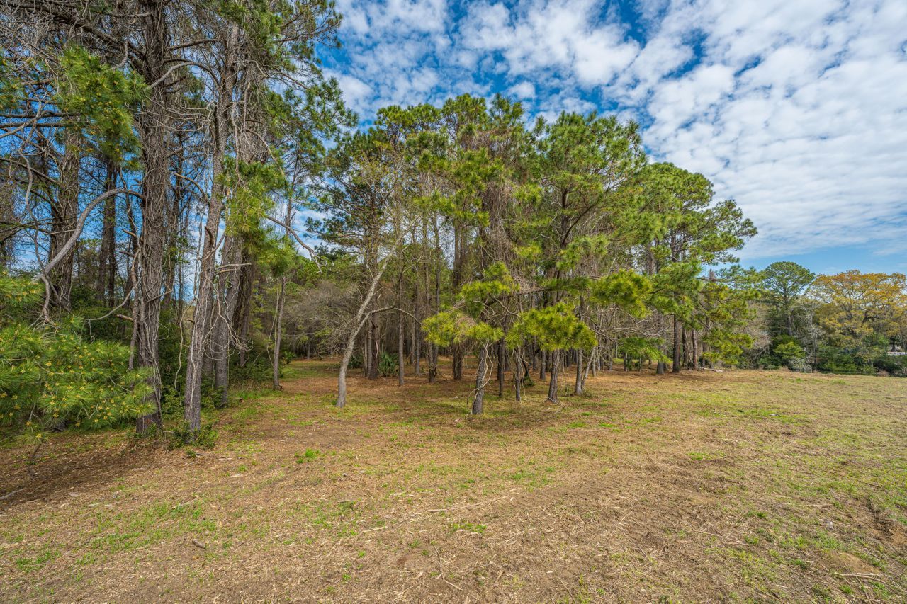 4297 Wild Turkey Way Photo 32