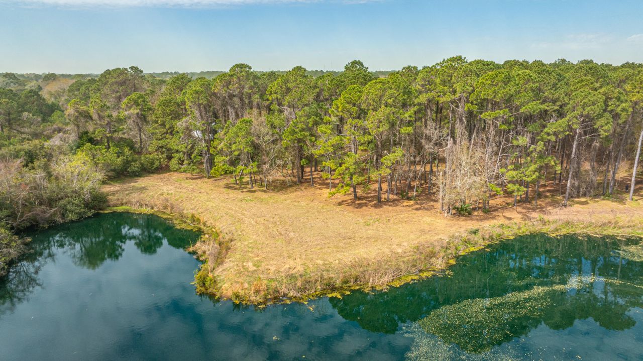 4297 Wild Turkey Way Photo 4