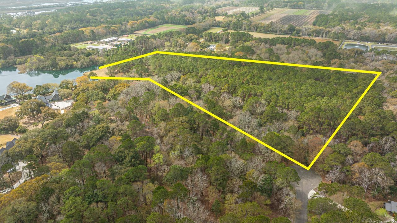 4297 Wild Turkey Way Photo 7